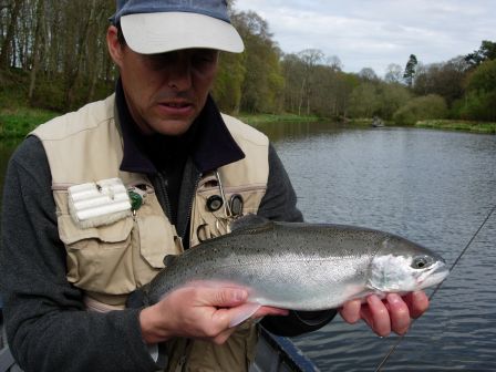 Blue trout à  Haddo