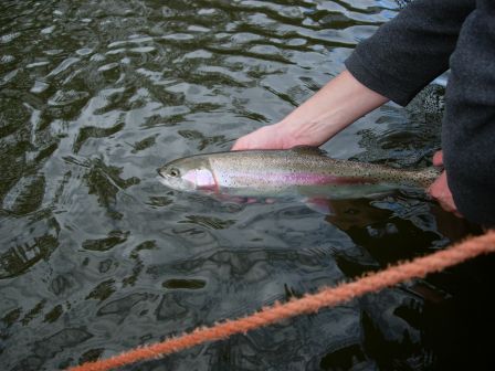 Remise à  l'eau d'une arc à  Haddo